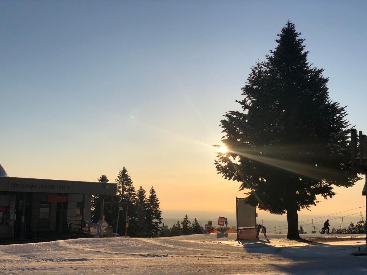 Chalet Anra Pohorje Zgornje Hoce ภายนอก รูปภาพ