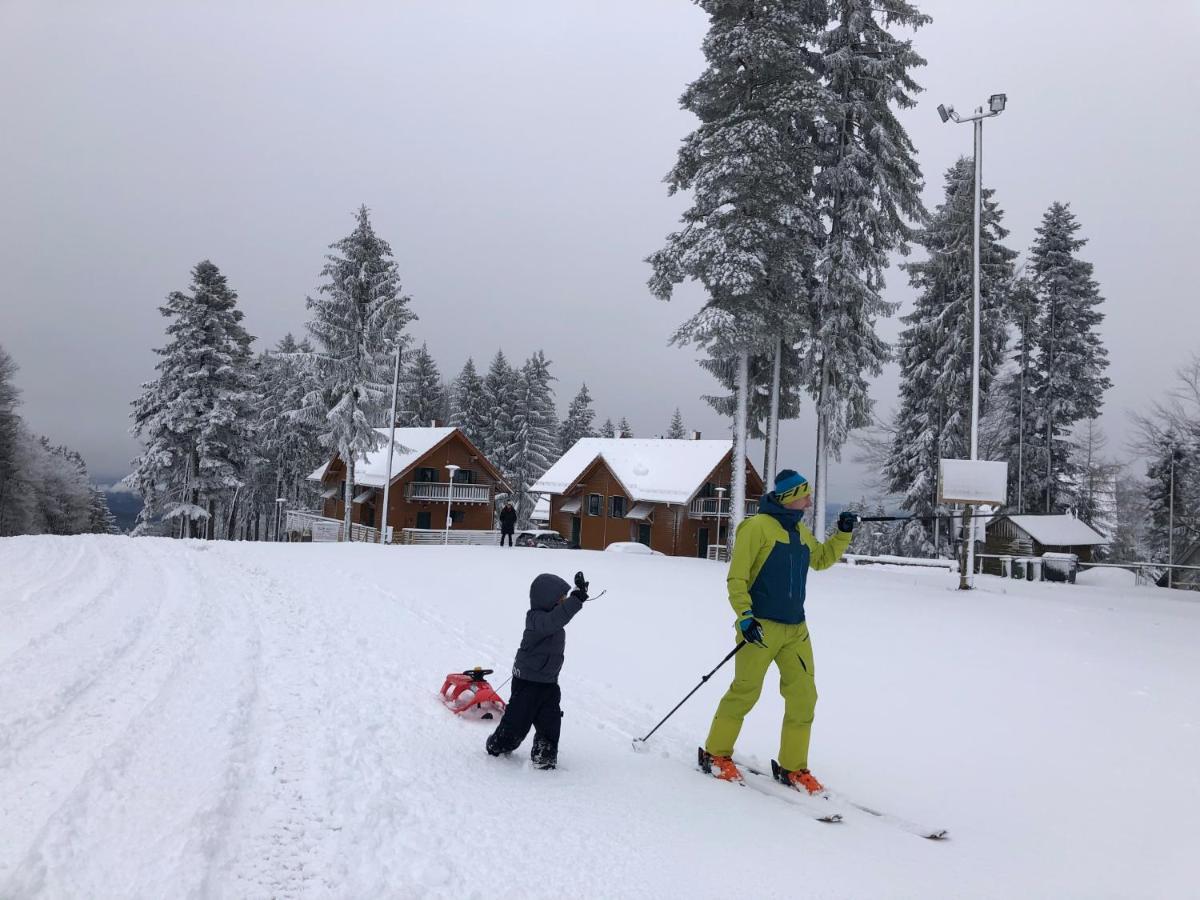 Chalet Anra Pohorje Zgornje Hoce ภายนอก รูปภาพ