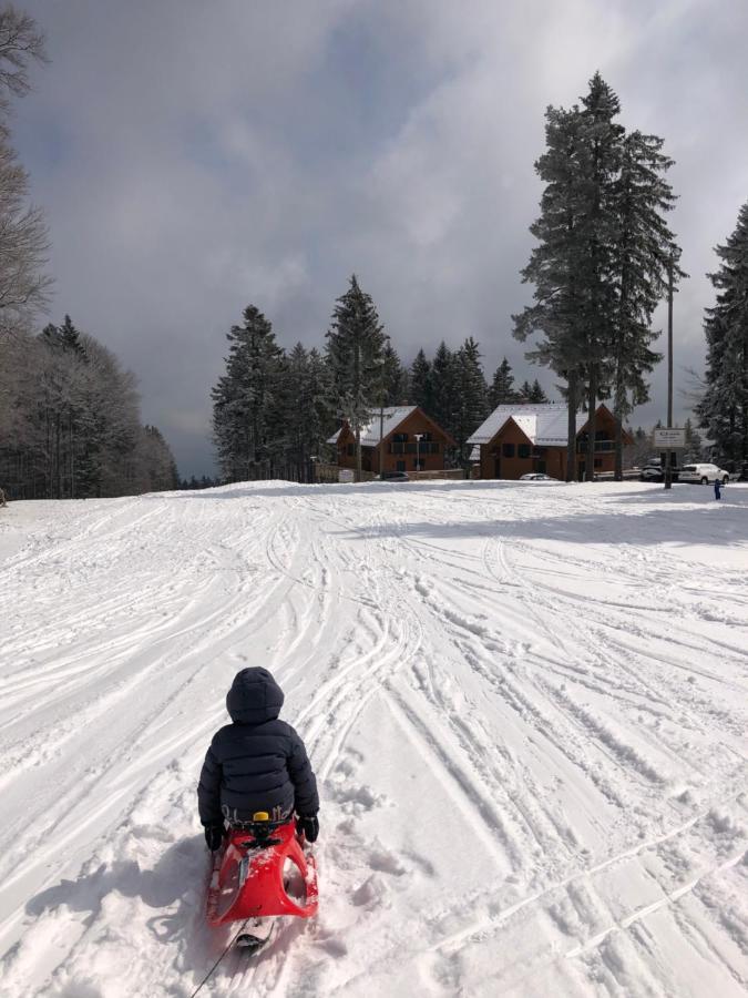 Chalet Anra Pohorje Zgornje Hoce ภายนอก รูปภาพ