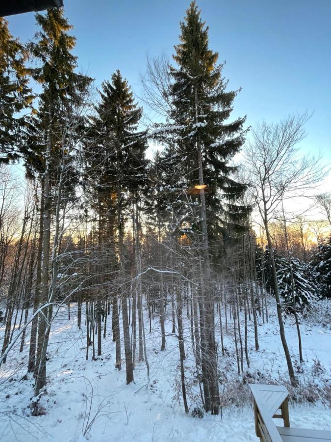 Chalet Anra Pohorje Zgornje Hoce ภายนอก รูปภาพ