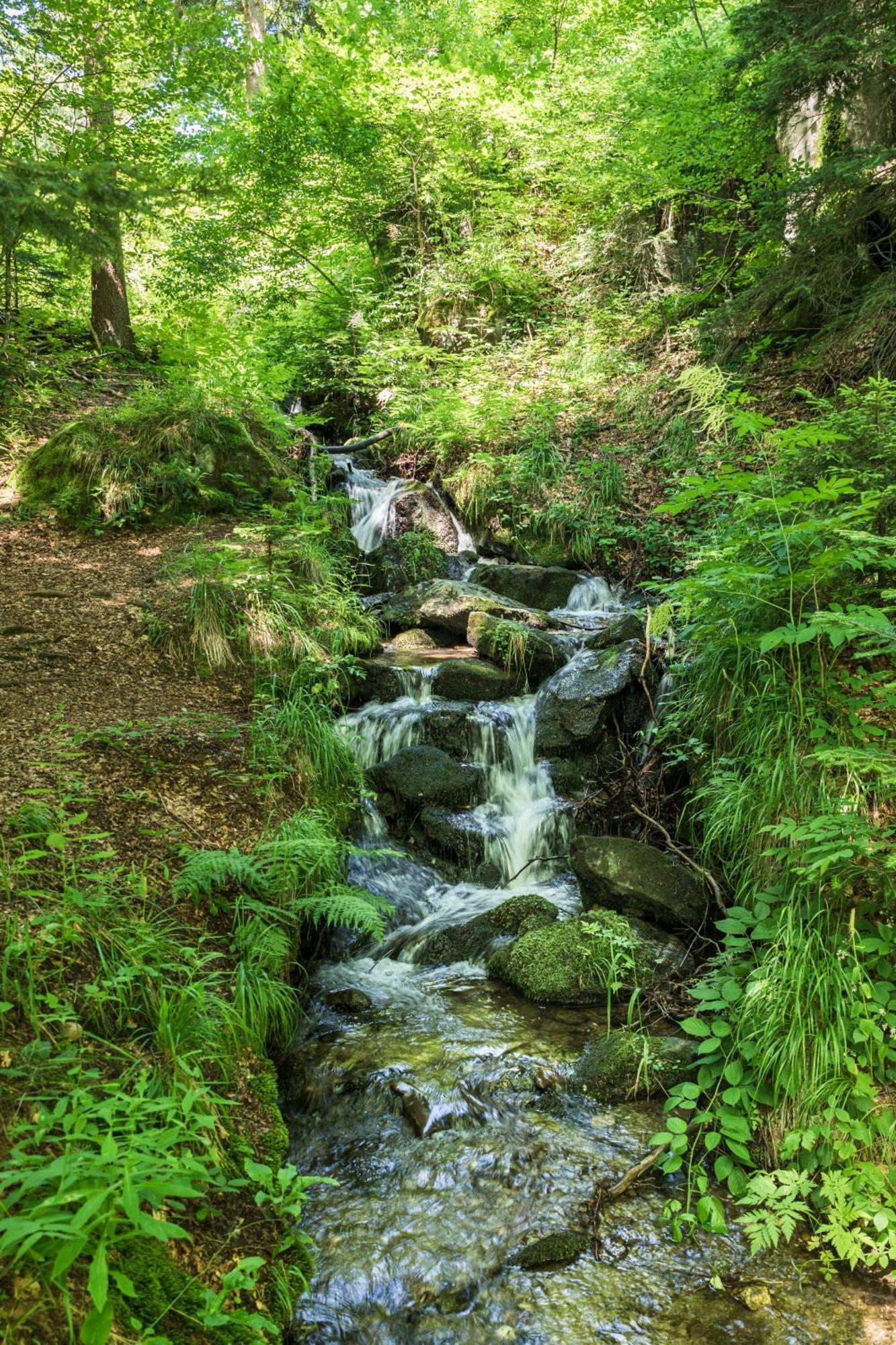 Chalet Anra Pohorje Zgornje Hoce ภายนอก รูปภาพ