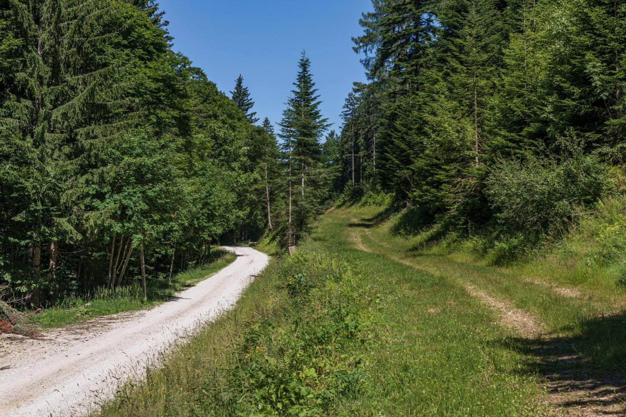 Chalet Anra Pohorje Zgornje Hoce ภายนอก รูปภาพ